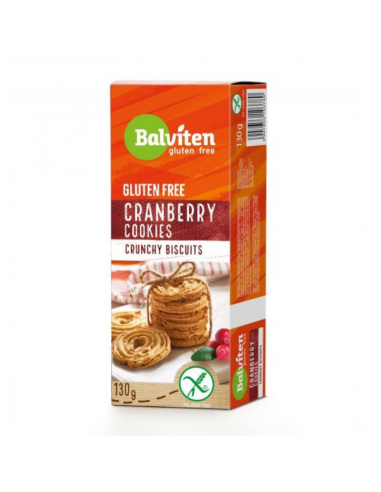 GALLETAS DE ARANDANOS SIN GLUTEN 130 G